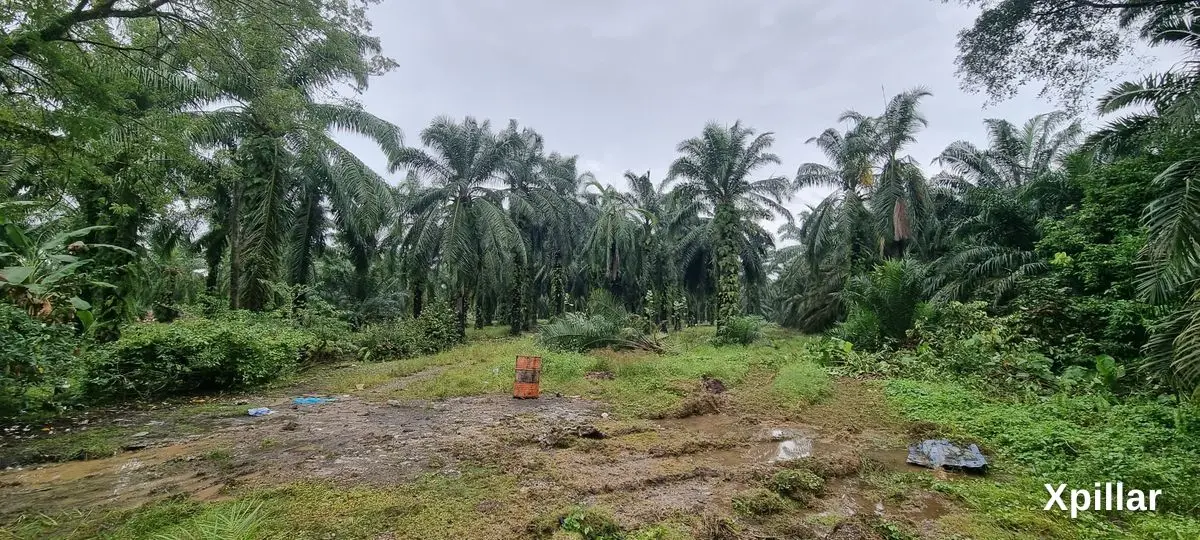 Industrial Land @ Bukit Kemuning Shah Alam For Sale 