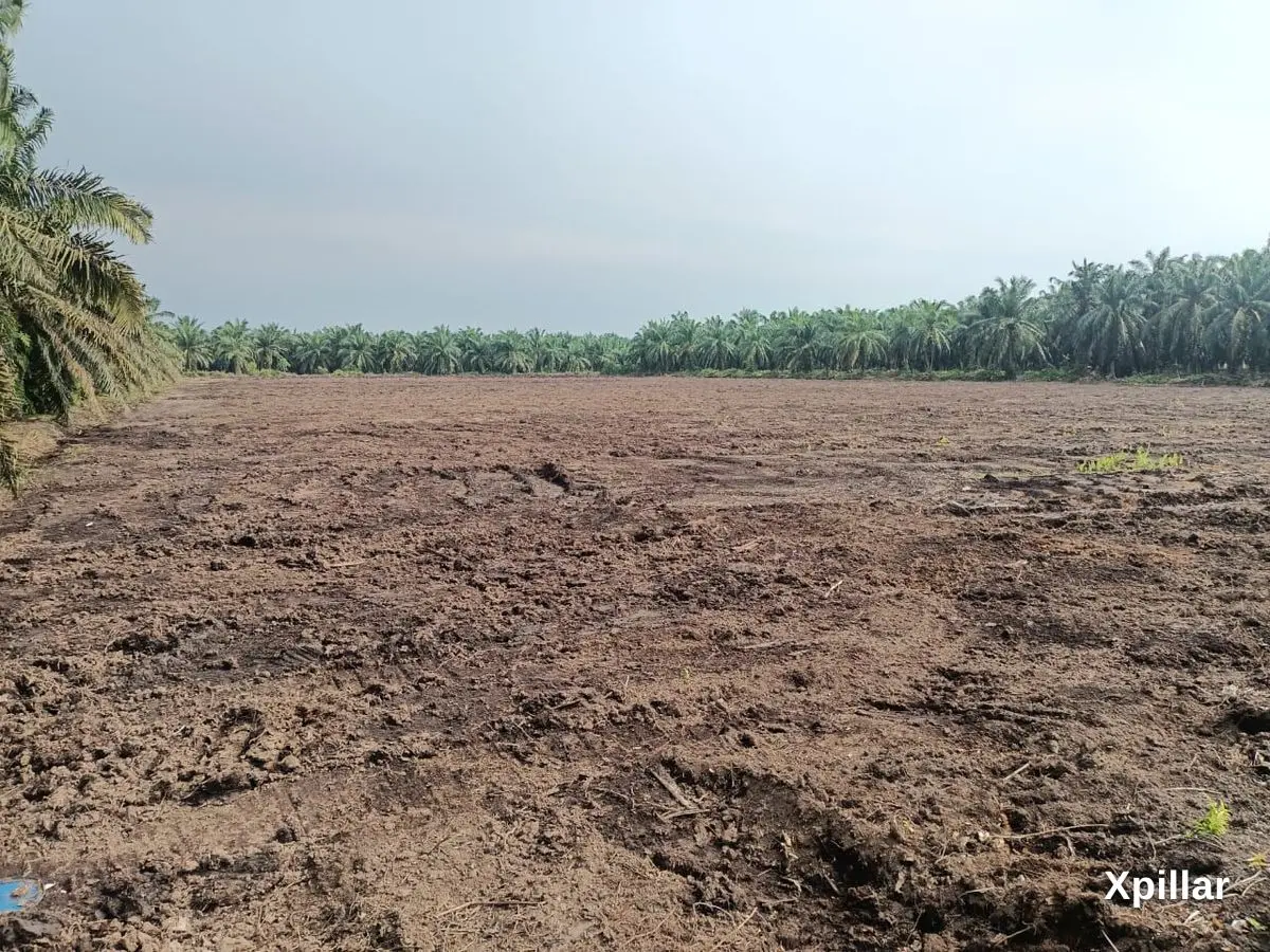 ZONING MEDIUM INDUSTRIAL LAND TELOK PANGLIMA GARANG FOR SALE 