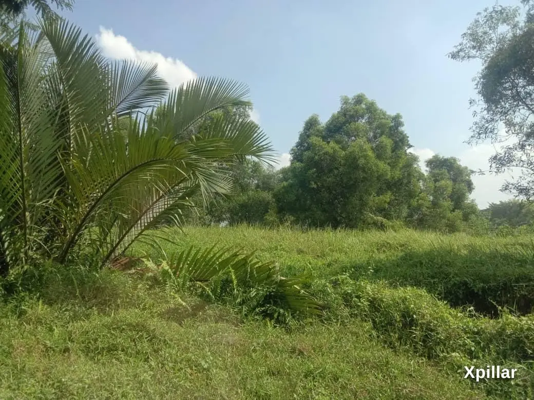 RAWANG COMMERCIAL LAND FOR SALE