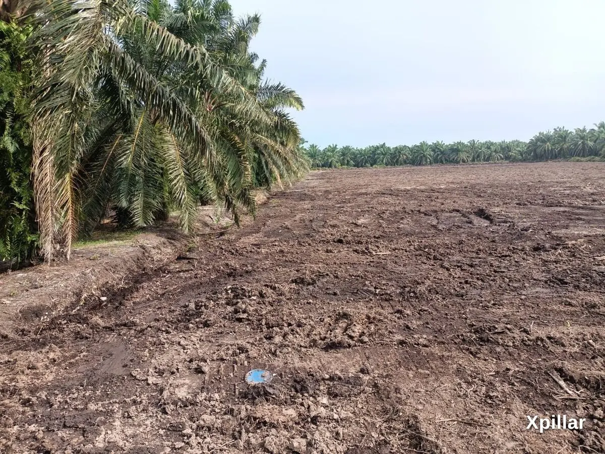 MEDIUM INDUSTRIAL LAND @ JENJAROM FOR SALE 